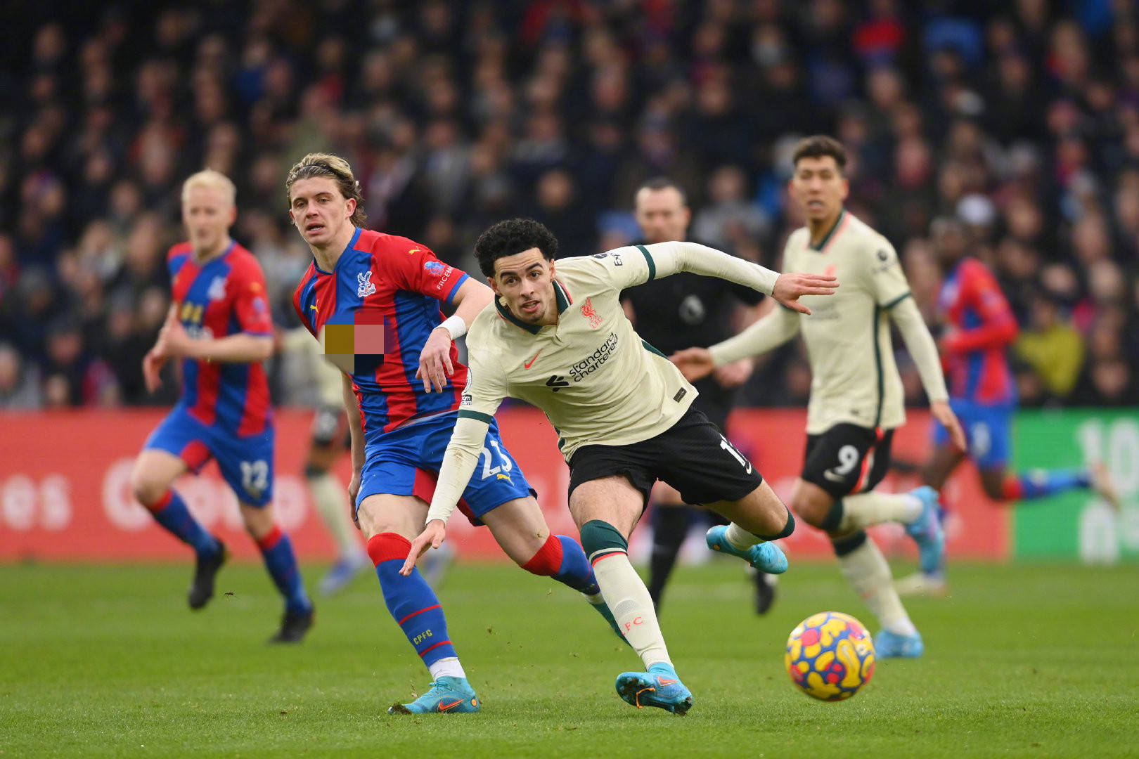 但不可否认 但不可否认