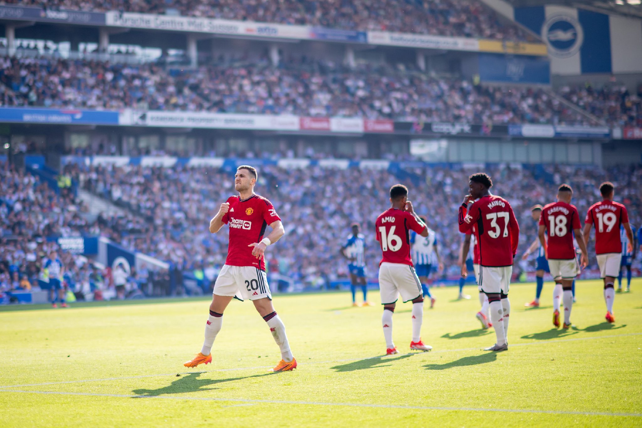 他們極有可 他們極有可